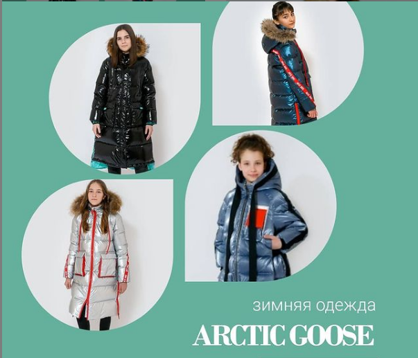  .  ! Arctic Goose -  , ,  -   - ,  74-170!   !  -    ! 1/21 