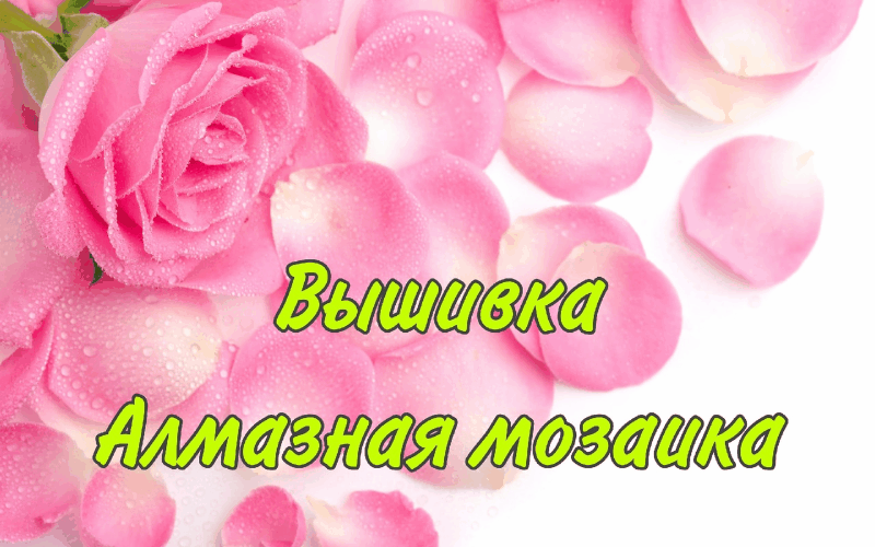   19.03.     .    49 .,    75 .,     22 .,  72 .,    8,5 ,   8 .      !