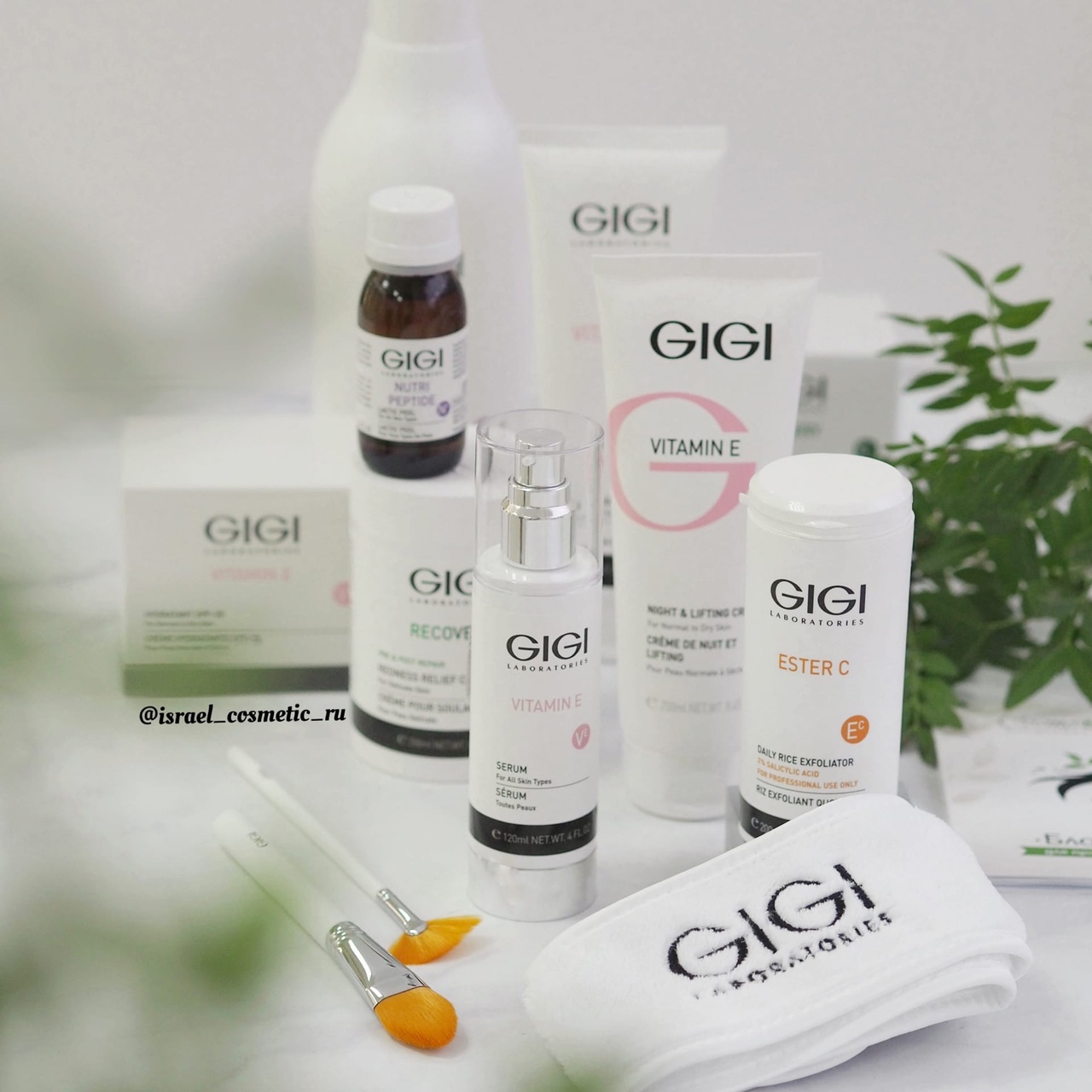 Academie , Gigi , Ample:N , LeviSsime , Atache -    , .   - 6/21.