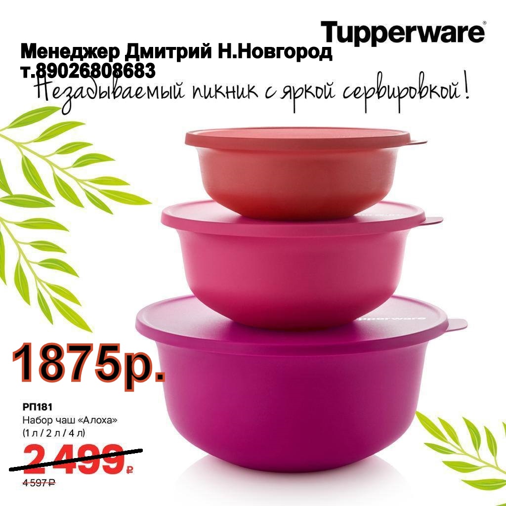 Tupperware    - 1875  (..  +79026808683)