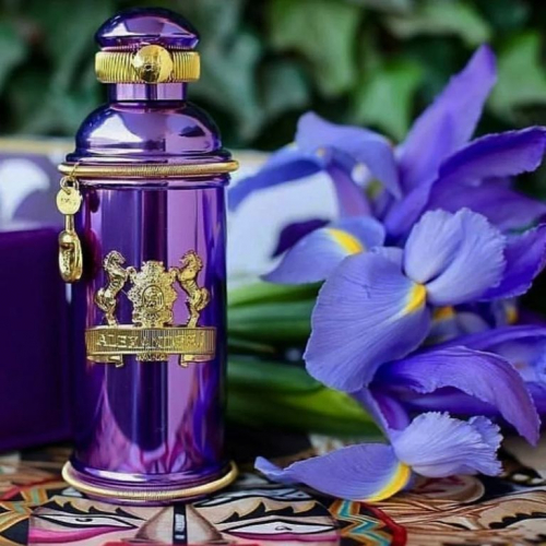    Alexandr J iris Violet 