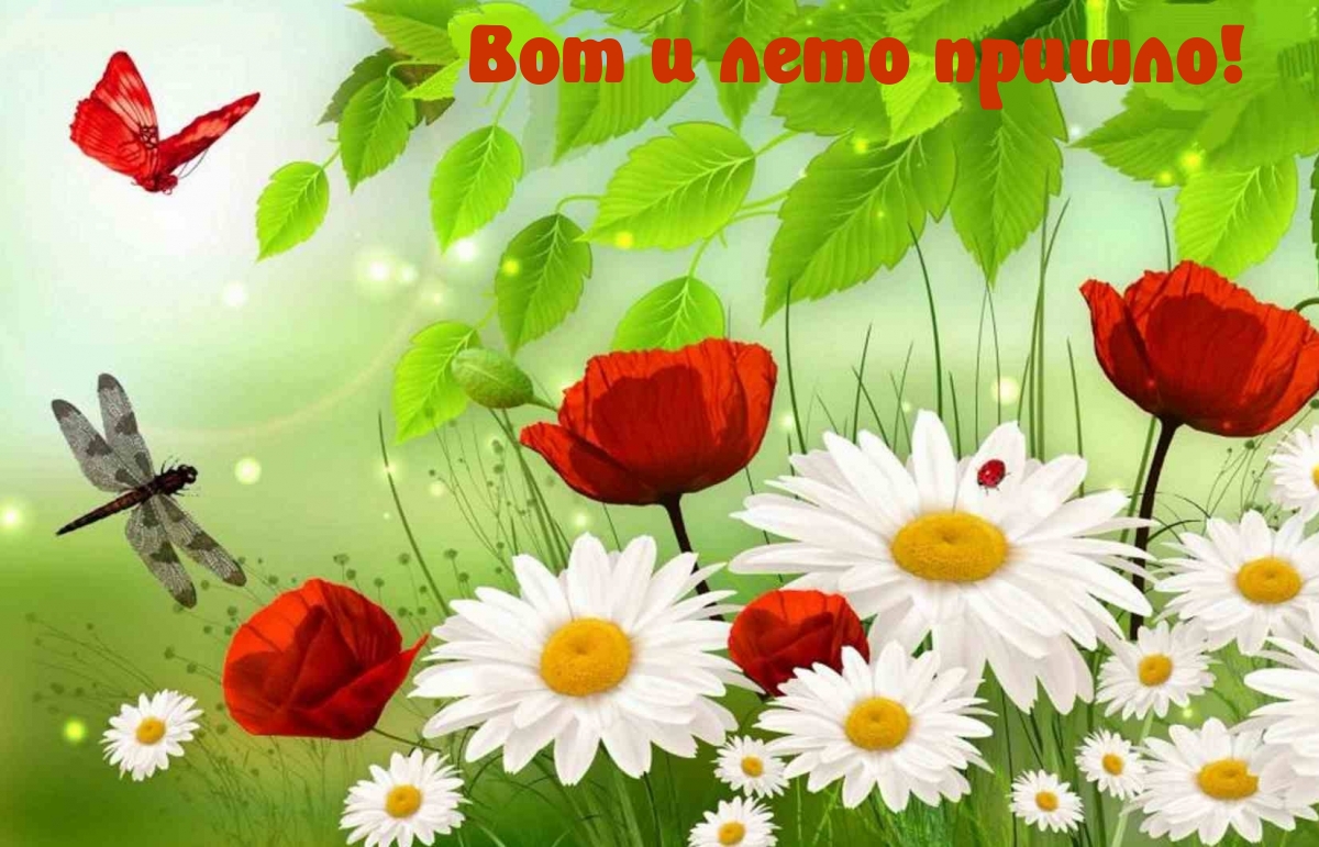 Сегодня