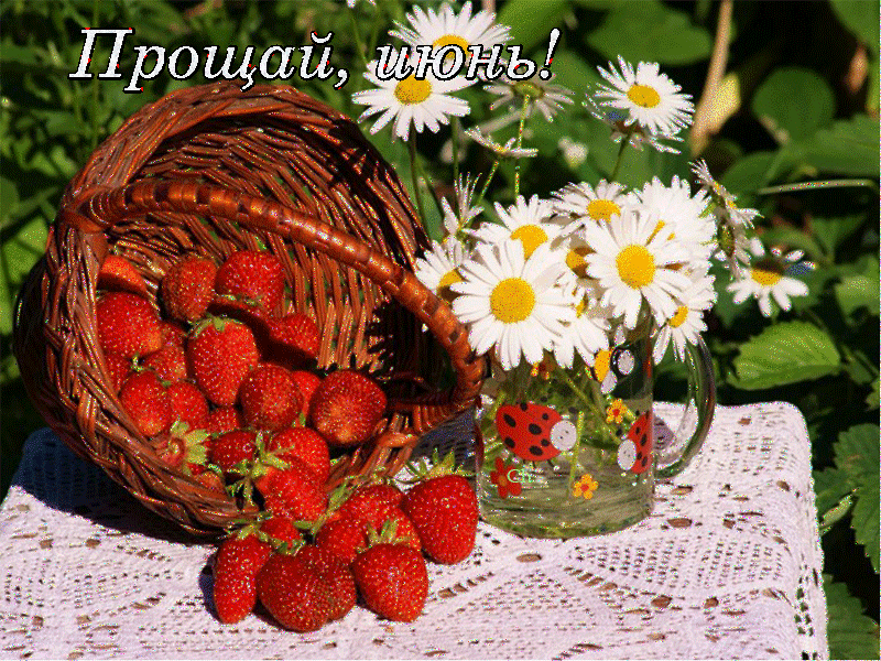 Сегодня