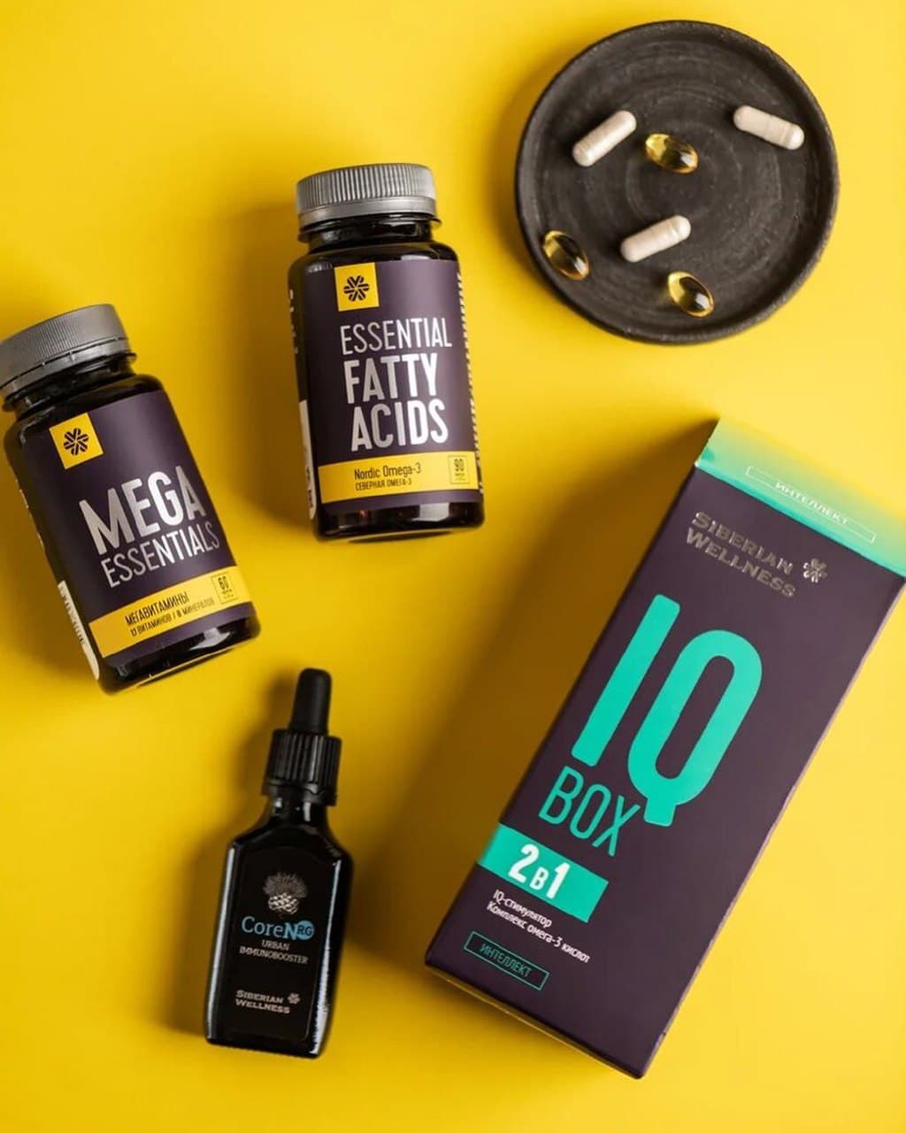   17.08.21 -    ! 331     990 ,  293   60 ! -. GMP.  ,  !