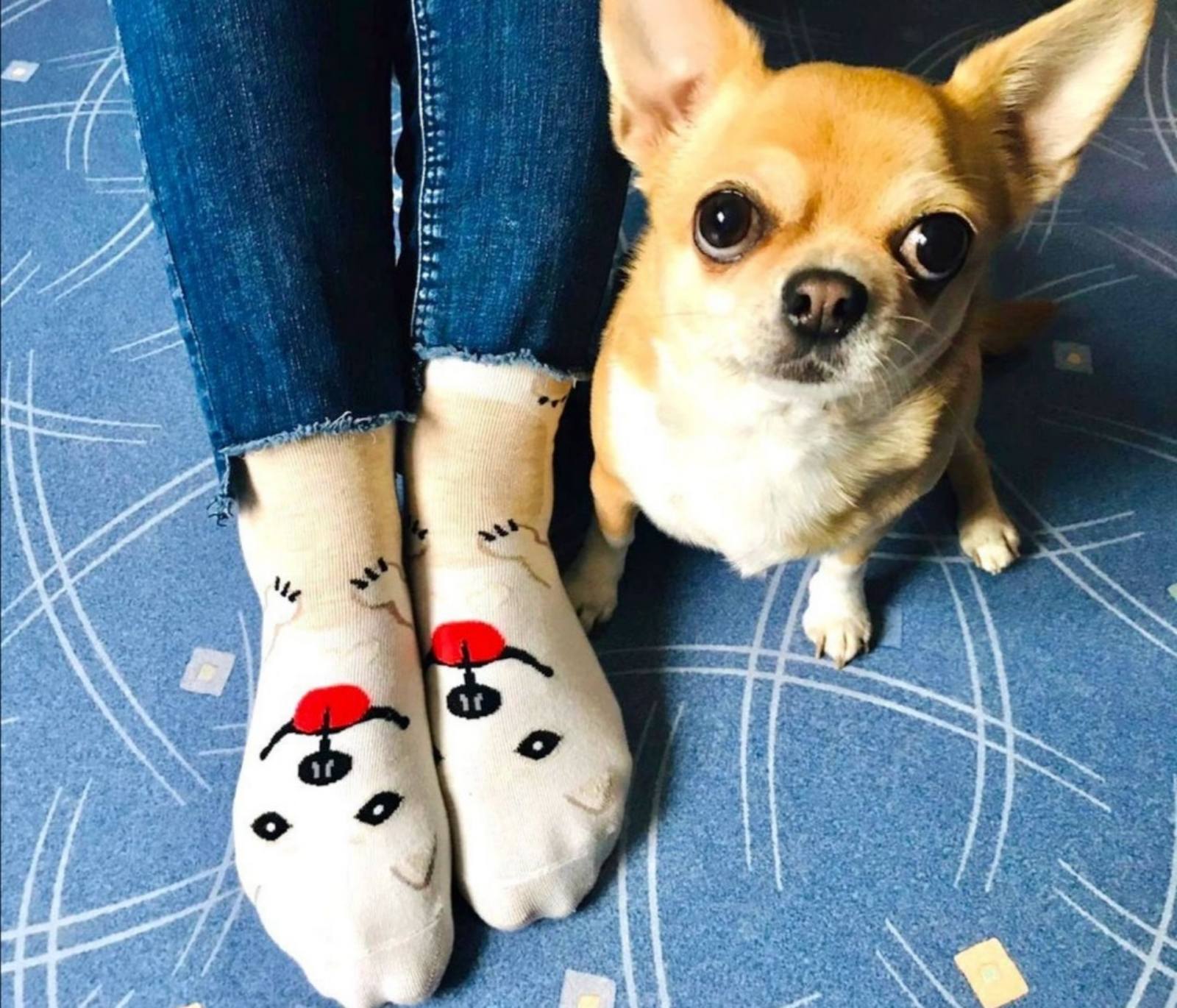 Krumpy`Socks -     ! , ӣ, !    ! 