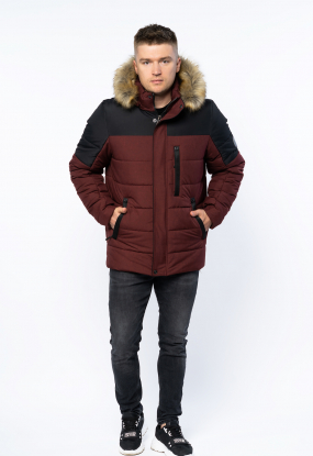  .  Ledos -   ,    .      .   46  66.  .  3.