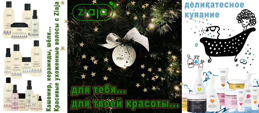 Zi*aja    ,     . 