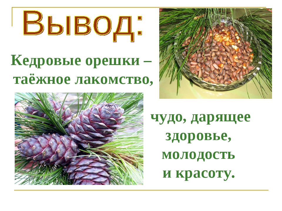    - 58.       !. ,    . ,  ,  