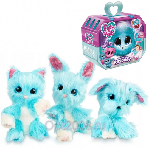   19.12.   : Pop It, - , - Creative,    Touch,  ,   ,3D , FURBY.       .  .-9. 