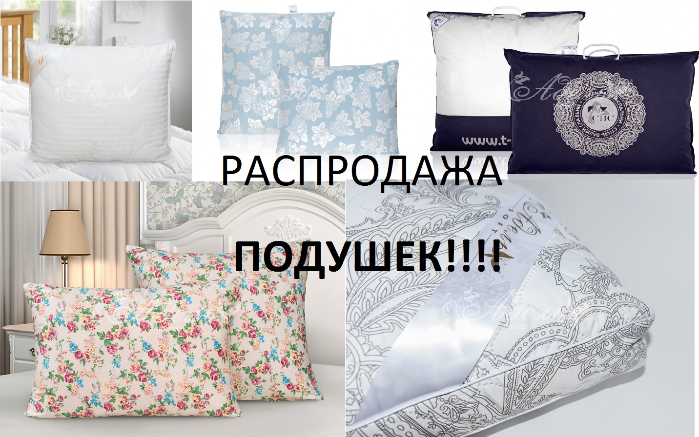   21.12.    Ae.     !  .    . , , .   .   . , .   !