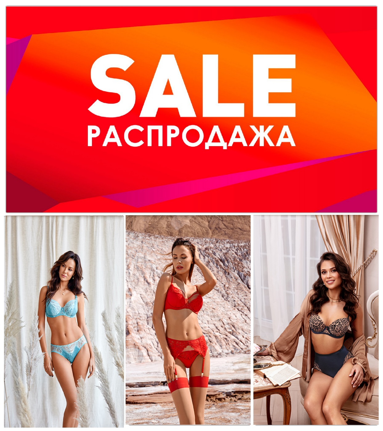  ! &#127881;   50%  !&#9728;  -    . ,     !