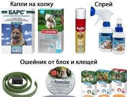 [b] .    ,       !  7[/b]