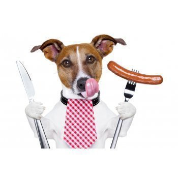 [b] .         : , , , ,   .  , .    ! 20[/b]