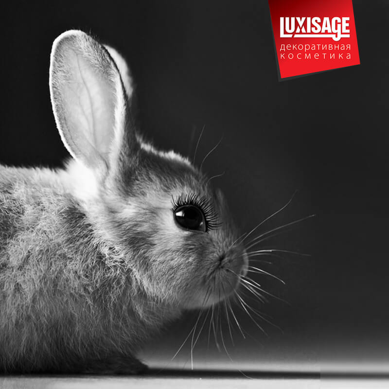   01.11. 10.11.  Lux visage.