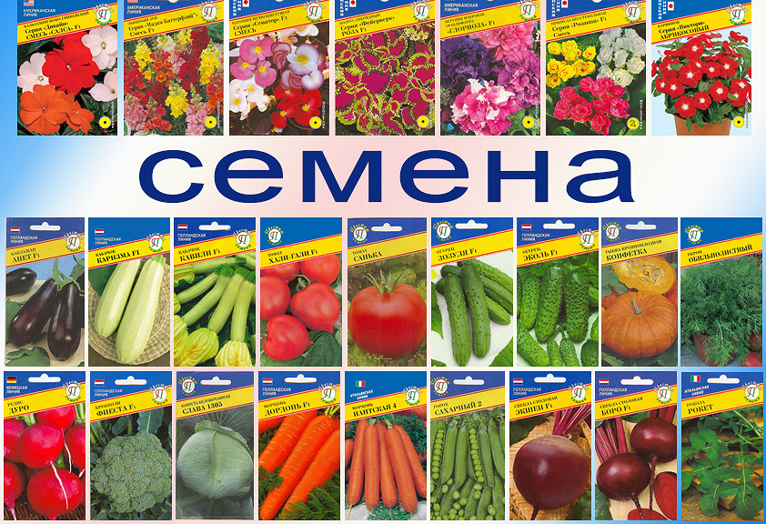 Гипермаркет семян &#171;Урожайная грядка&#187;! Более 4000 сортов овощей, цветов, зеленных культур, комнатных растений. Белые пакеты от 4руб ! Выкуп 46