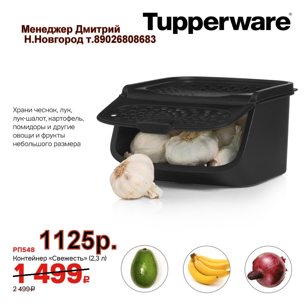 Tupperware   2,3 - 1125  (..  +79026808683)