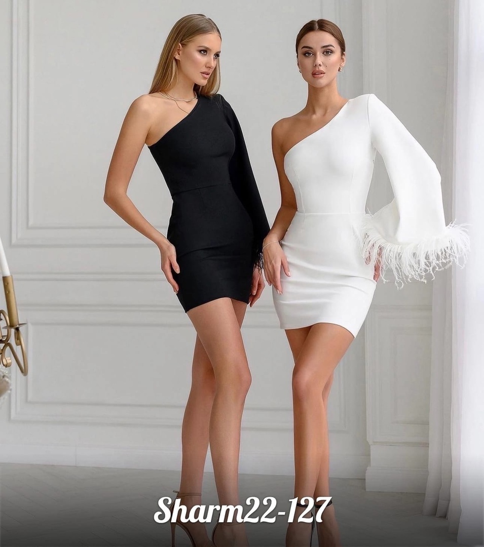  19.12.      SHARM -    , , !     150 .,  !   -27