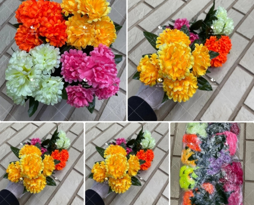    . .: 16 .: 10-15 ,  : 5