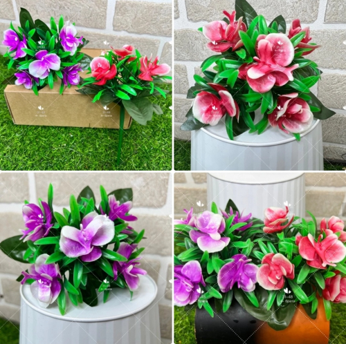    . .: 17 .: 15-20 ,  : 5