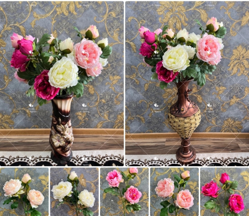    . .: 216 .: 80  , : 3