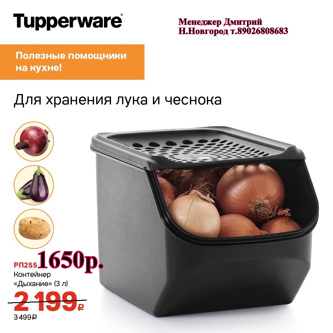 Tupperware   - 1650   (..  +79026808683) 
