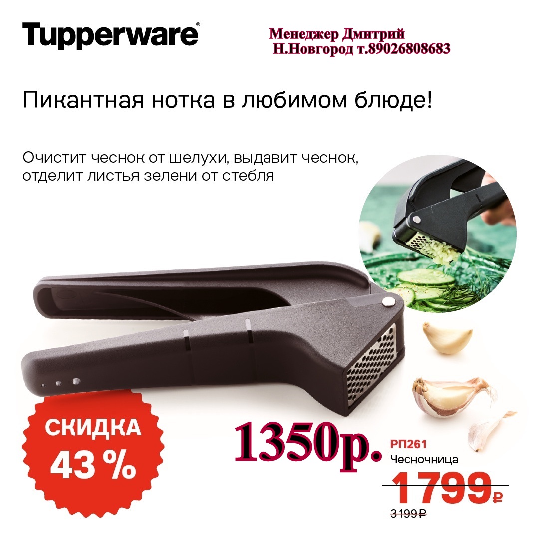 Tupperware  - 1350   (..  +79026808683) 