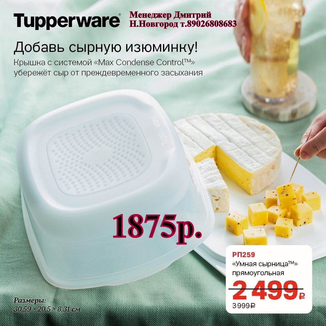 Tupperware    - 1875  (..  +79026808683) 