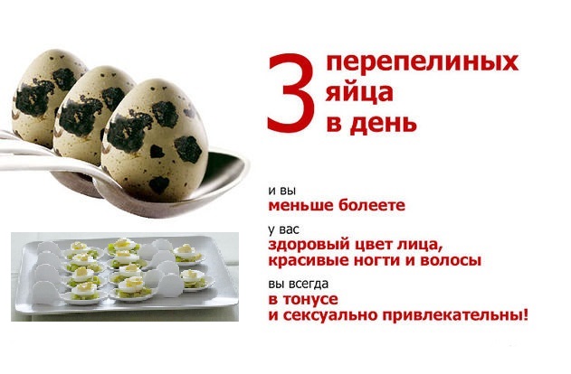   22.06. ! ! !  .   58  
