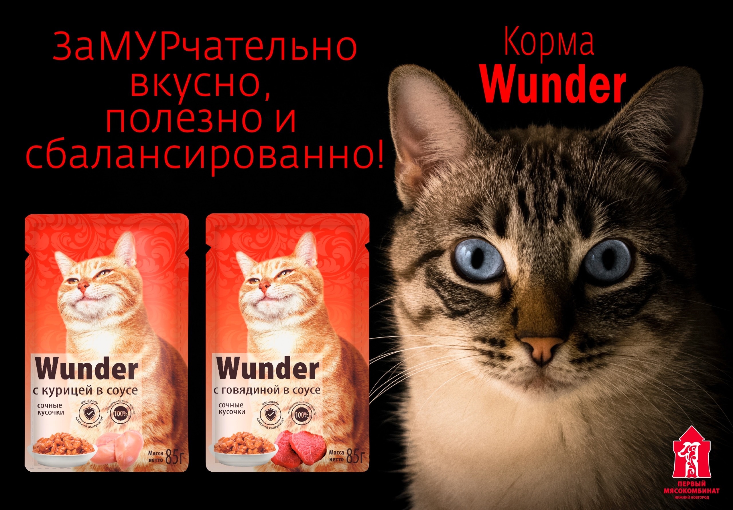 [b] . Wunder -      .   .[/b]