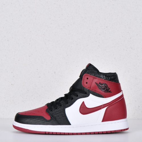  Nike Air Jordan