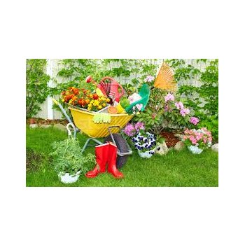 [b]  11.09.     .  , , ... 46[/b]