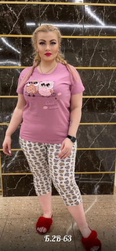      + 