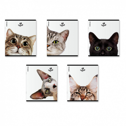 Sale! EriСh Kraus*e - канцтовары 10.
