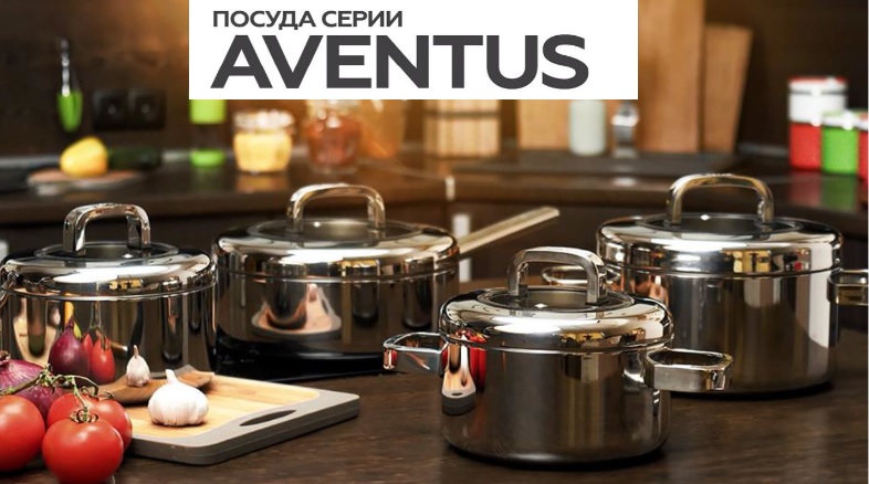 Gip*fel Aventus -        .     . 