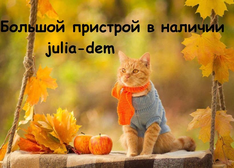    !  15   