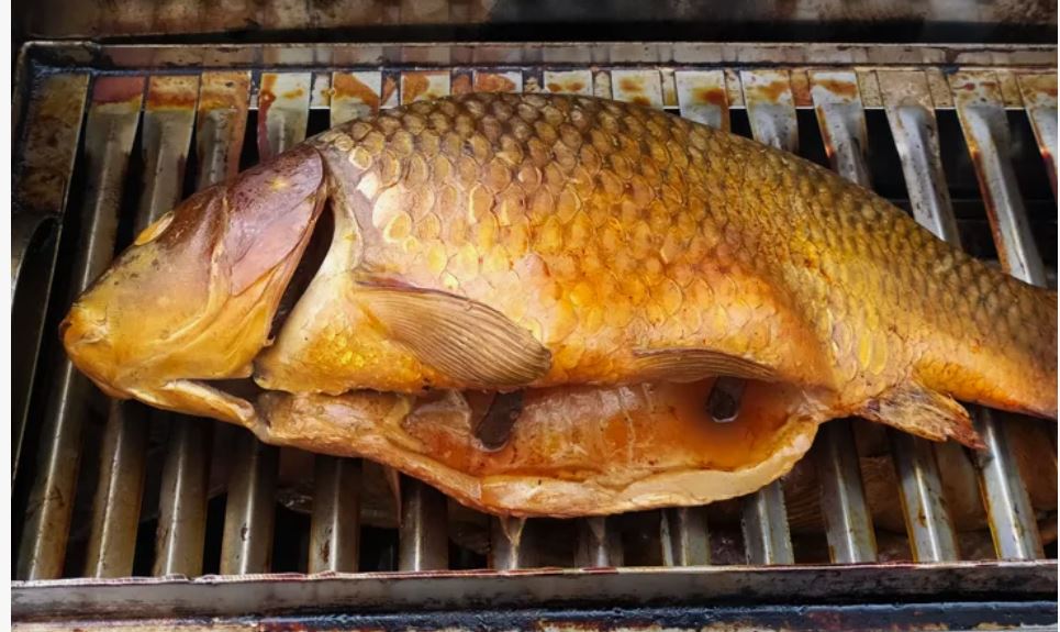 Карп копченый в белгороде. Можно коптить карпа. Коптим карпа. Карп в коптильне горячего копчения. Сазан копченый.