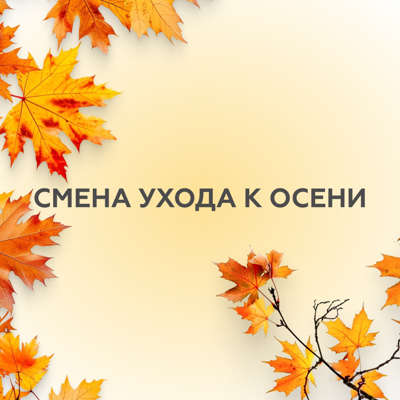   (mapleleaf)(mapleleaf)(mapleleaf) &#8212;   .
