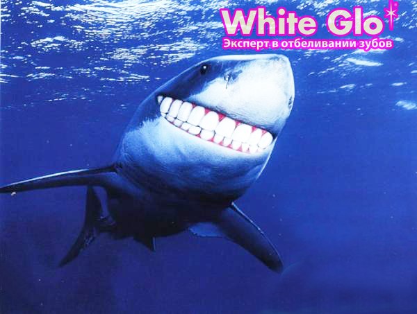   26.10. White glo  Longa Vita!         -131