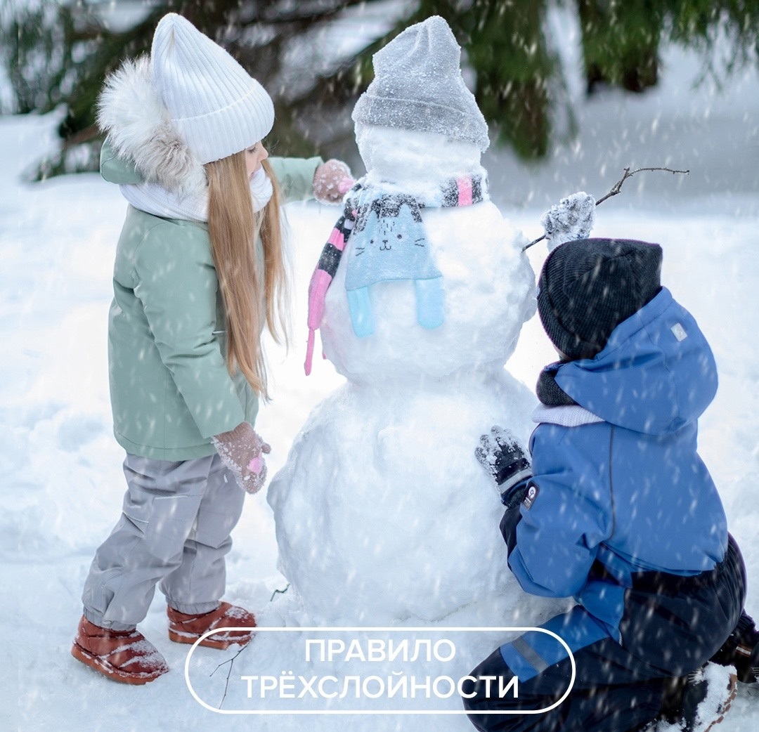  Crckid 377.  2024-2025! , , , , .   , , .   ,  !