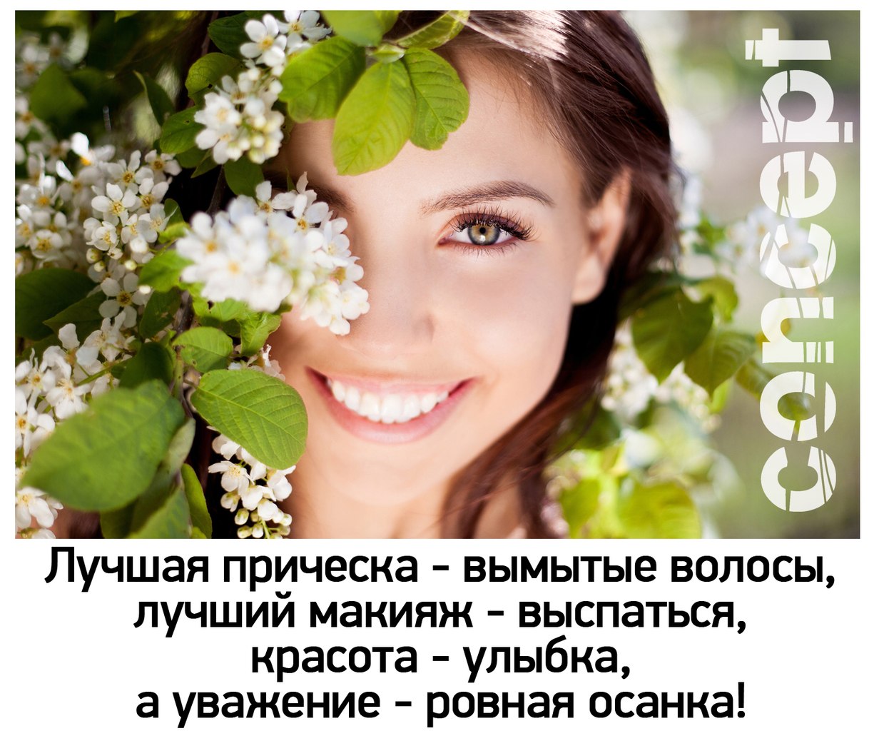   11.11.   Londa,Tigi,Concept,Sim Sensitive  .