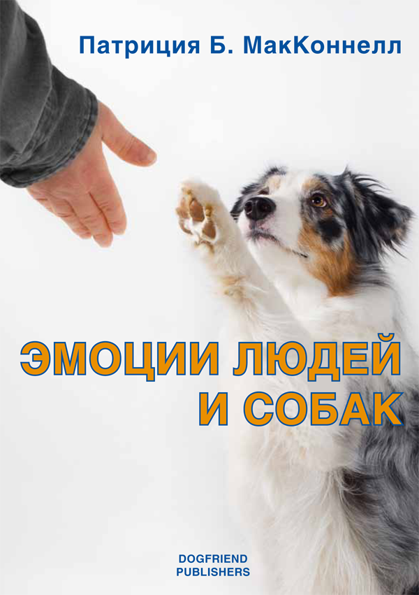       -   ,        .