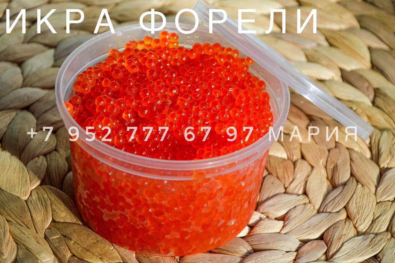   17.01.     (2 ),.   (),  .  .  