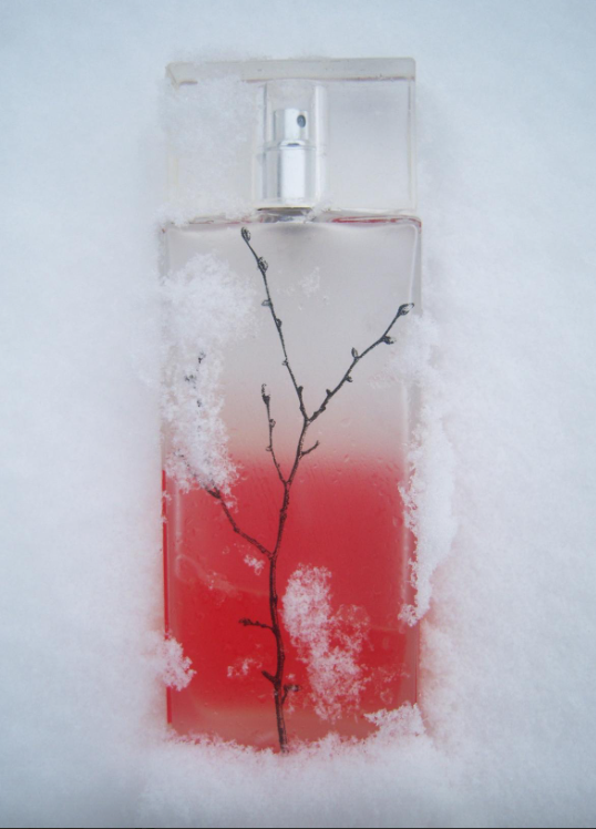  !   : , , , ,   ,      .