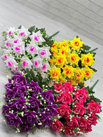 [b]  13.02.25.    12 !  ! , ,   ,  ![/b]