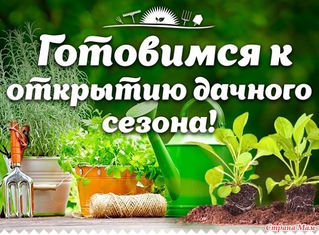  ! ӣ  : ,     , . ,  ,   .. 173