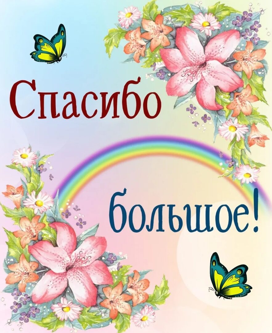      !!!