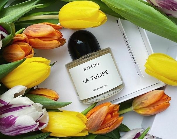    ! -23%  ӣ! Kamely Parfume - 100%  ,      !  ,   ! 96 