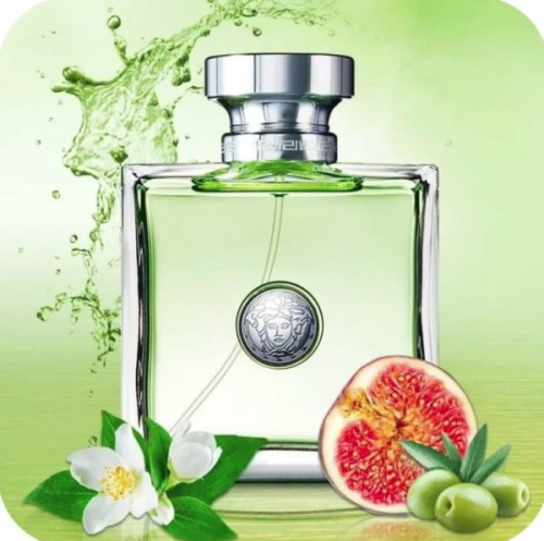 Versace Versense  . 5         -  : 670.12    : Versace  