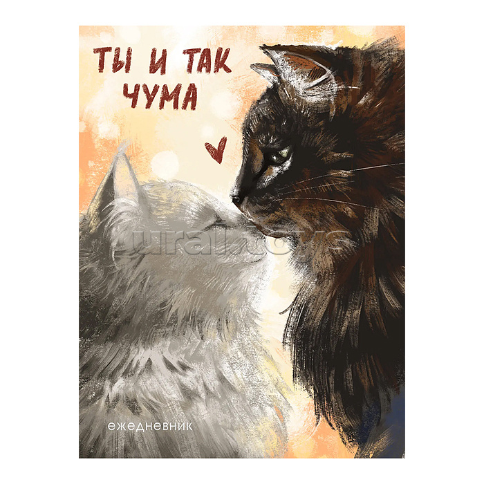    24.02    ,  , -.    .   .