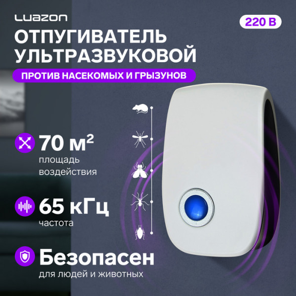   24.   , , , , ,     , , , ,  ,     ,  .